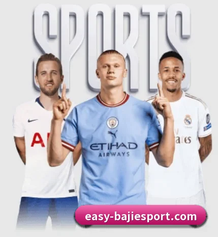五个功能入口,赛程查询路径更短 | BAJIESPORTS